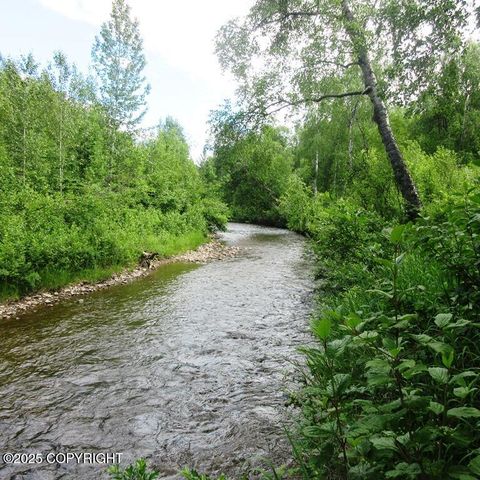 Vacant Land For Sale - TR G Parks Highway<br/> Talkeetna, AK 99676