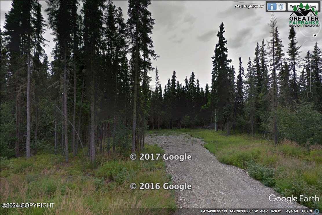 L21 B3 Brighton Drive, Fairbanks, Alaska image 1