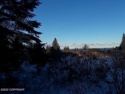 Vacant Land For Sale - 17285 Kimeluk Street<br/> Ninilchik, AK 99639