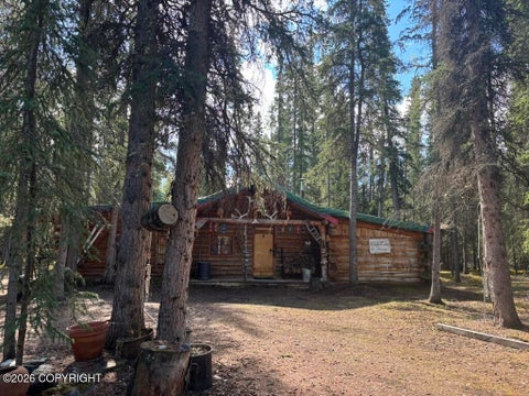 Homes For Sale - LOT 3 Bk 2 Jacobs-mattila Sub<br/> Tok, AK 99780