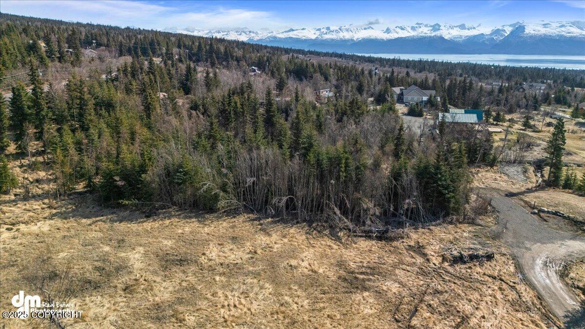 38410 Woody Circle, Homer, Alaska image 9