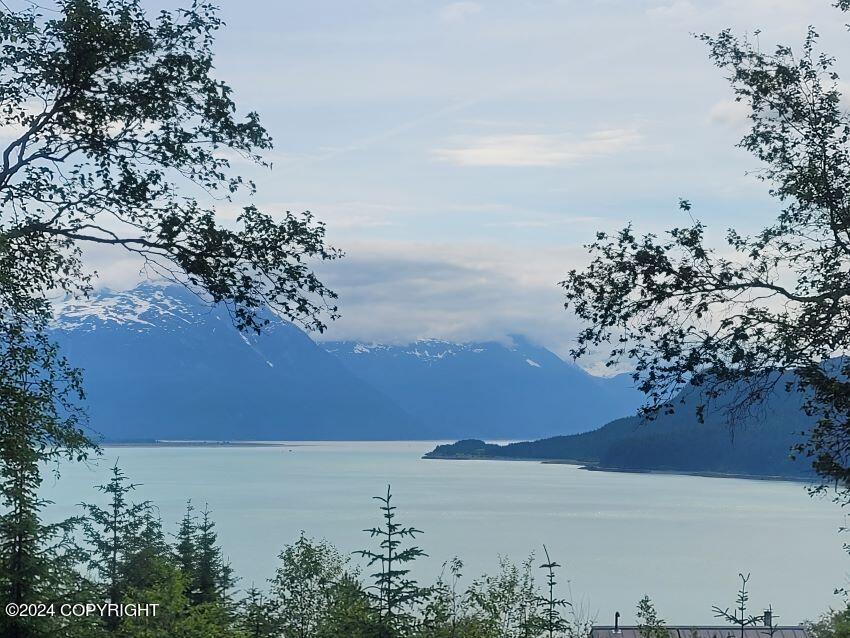 939 E Oslund Drive, Haines, Alaska image 3