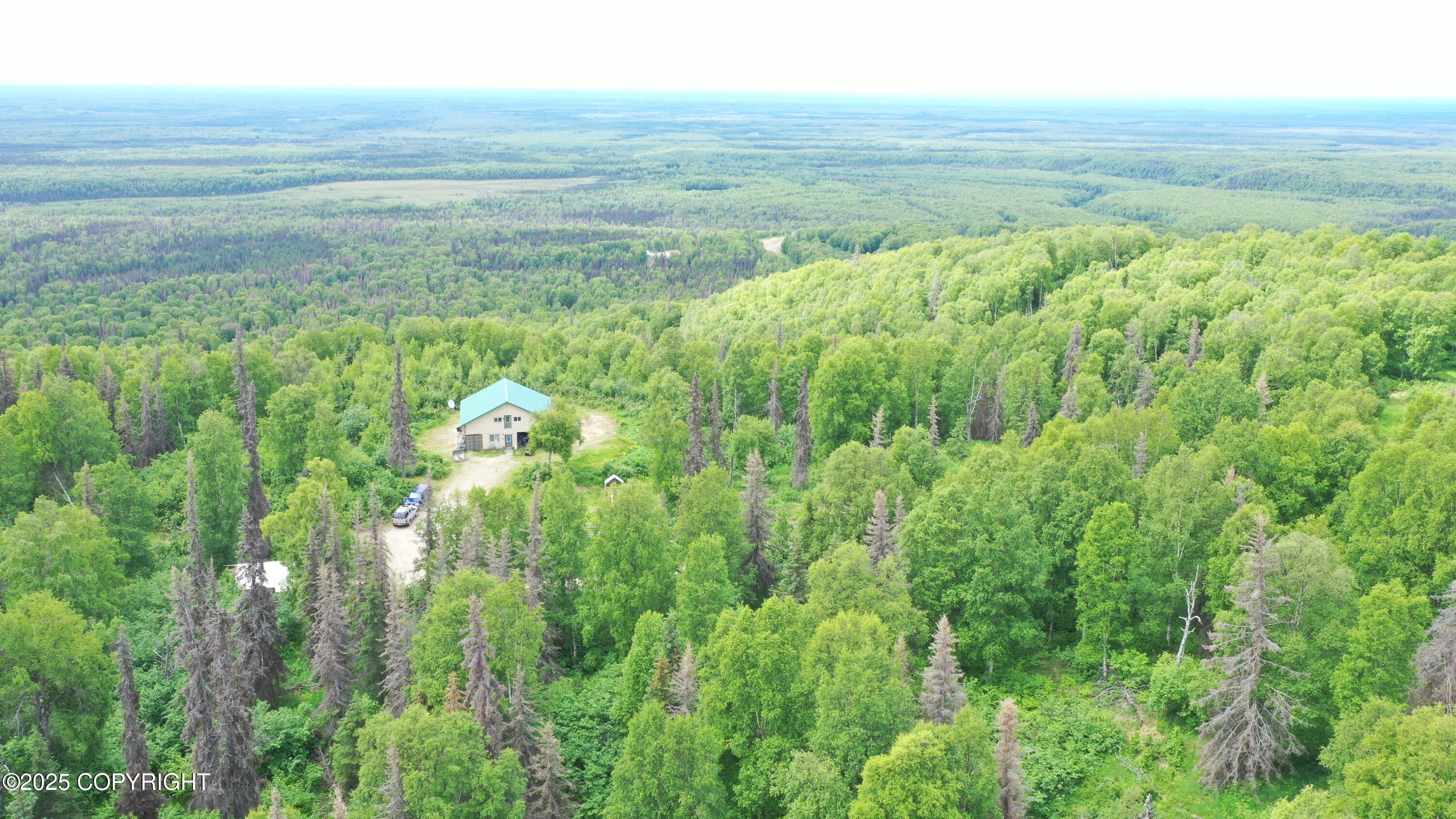 15561 W Willas Way Way, Willow, Alaska image 2