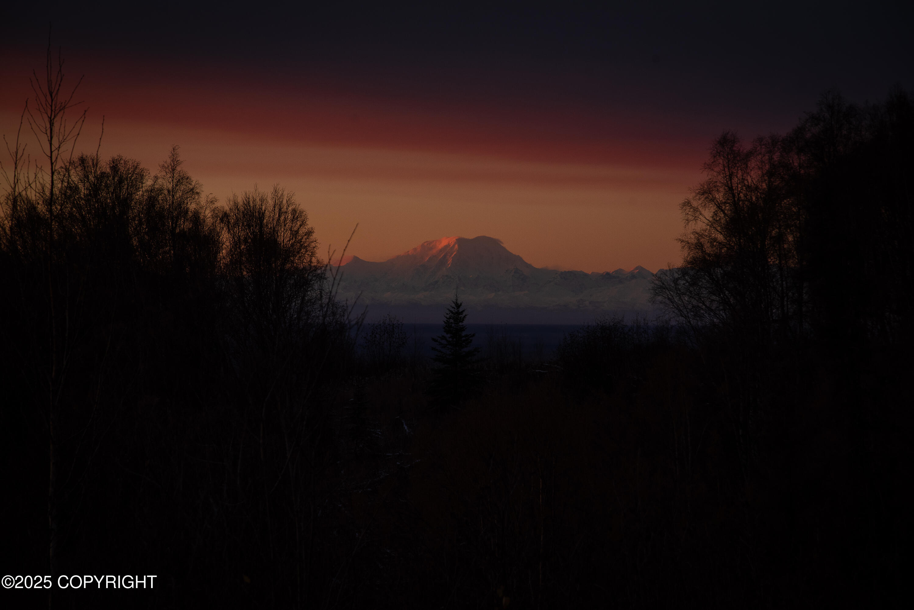 15561 W Willas Way Way, Willow, Alaska image 3