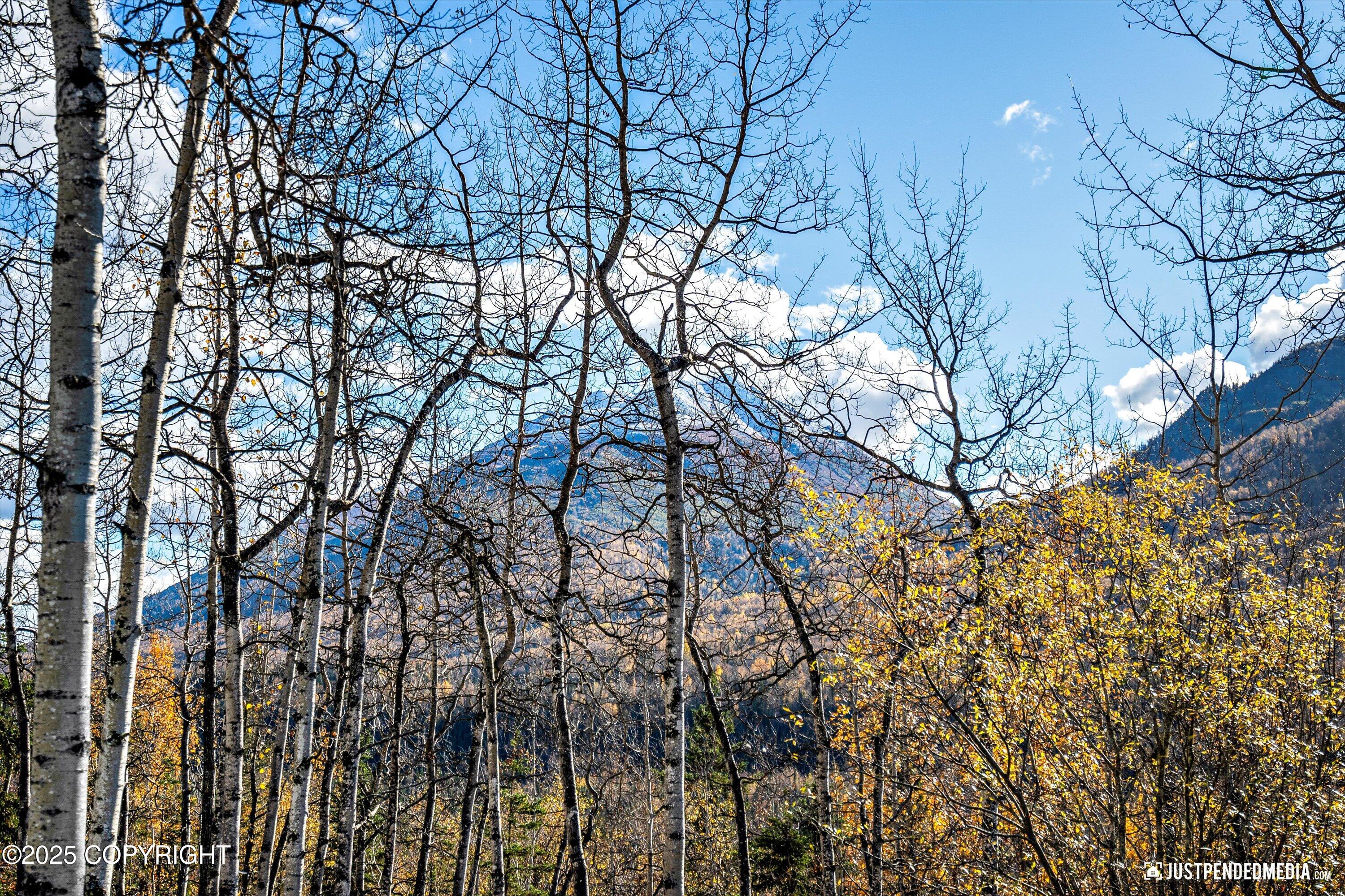 Eagle River, Alaska 99577, United States, 4 Bedrooms Bedrooms, ,3 BathroomsBathrooms,Residential,Active,221436