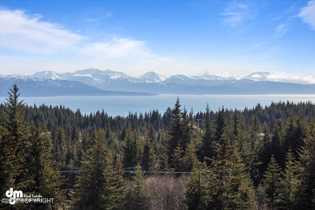 Homer, Alaska 99603, United States, 3 Bedrooms Bedrooms, ,4 BathroomsBathrooms,Residential,Active,98182