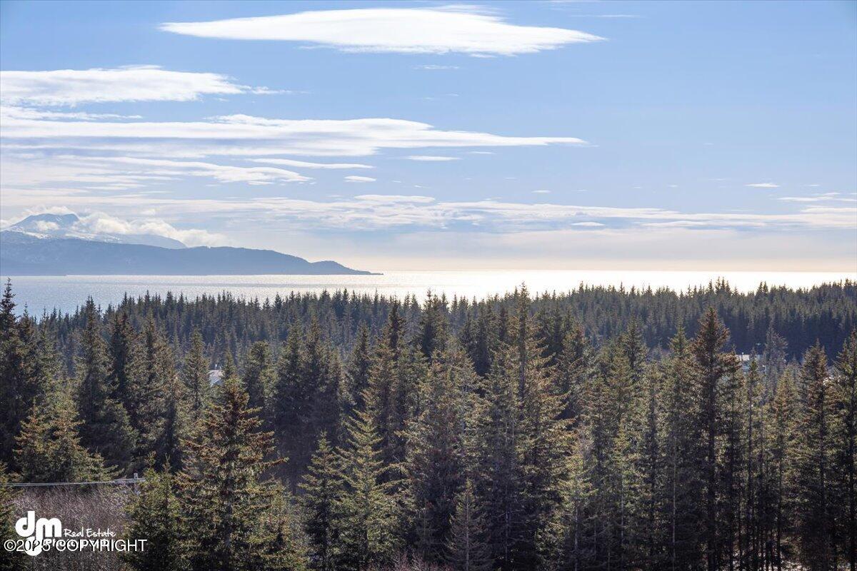 Homer, Alaska 99603, United States, 3 Bedrooms Bedrooms, ,4 BathroomsBathrooms,Residential,Active,98182