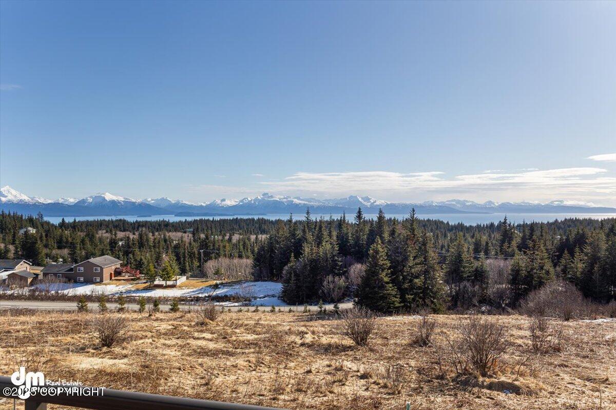 Homer, Alaska 99603, United States, 3 Bedrooms Bedrooms, ,4 BathroomsBathrooms,Residential,Active,98182