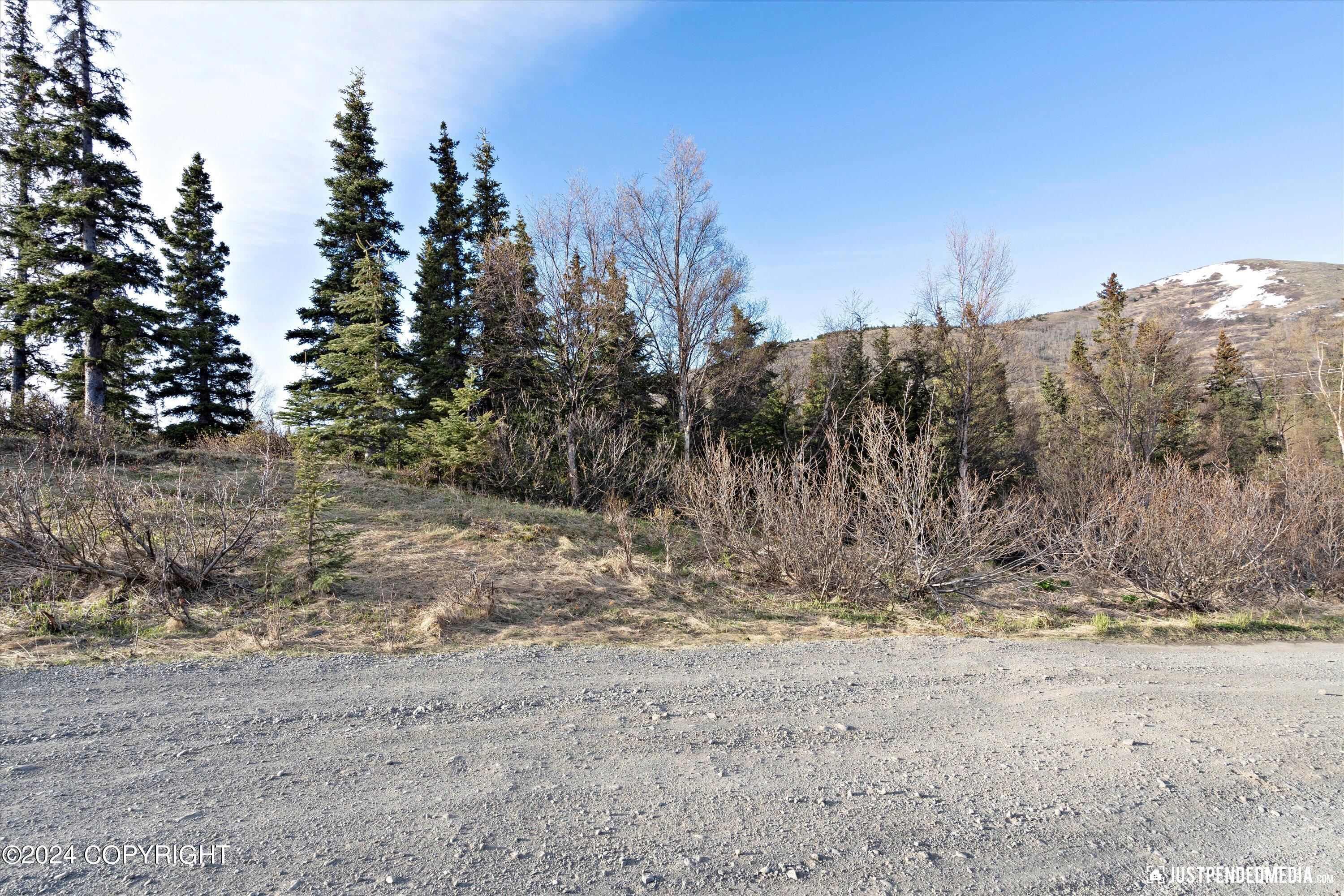 B2 L34 Finland Street, Anchorage, Alaska image 3