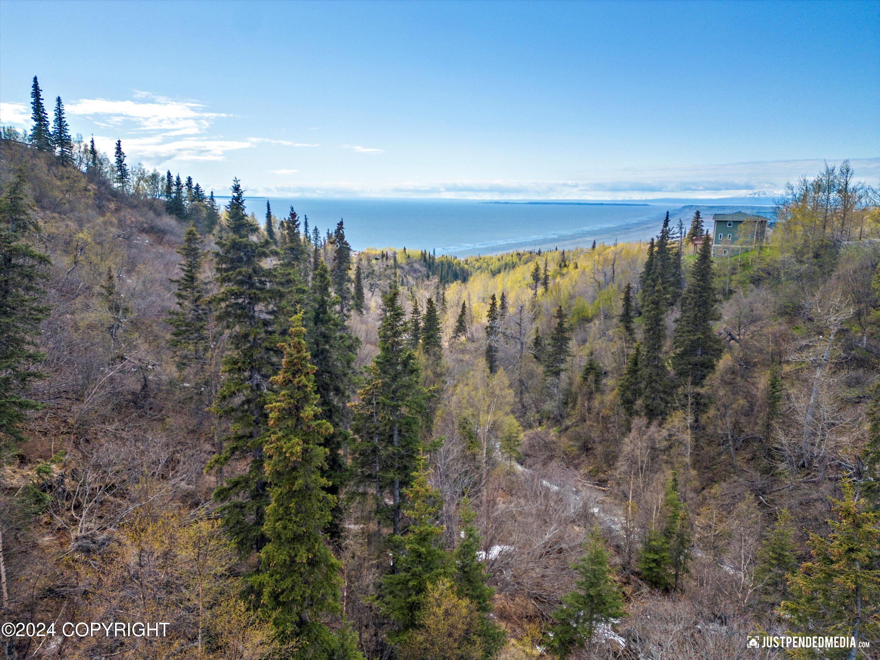 B2 L34 Finland Street, Anchorage, Alaska image 36