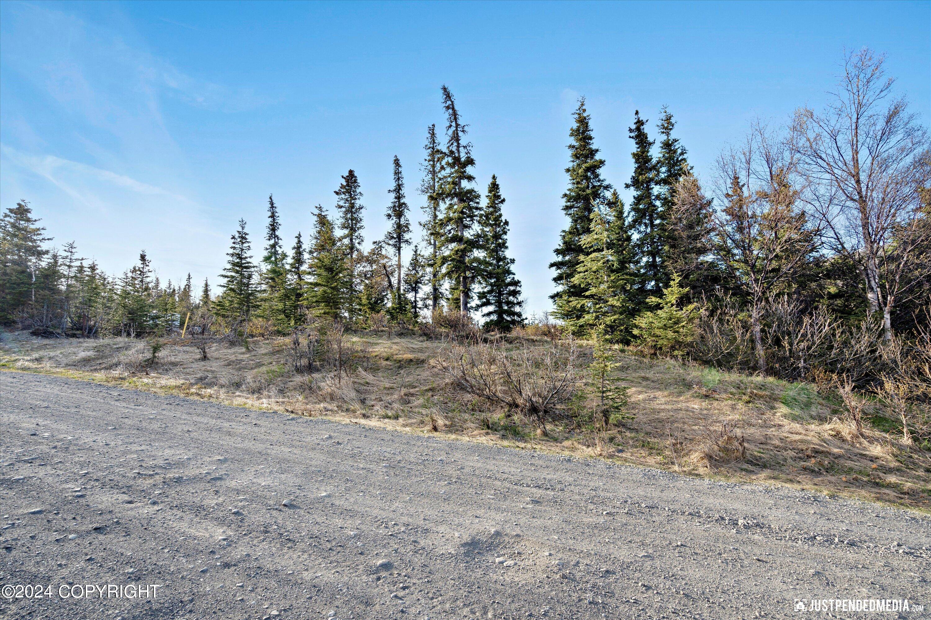 B2 L34 Finland Street, Anchorage, Alaska image 4