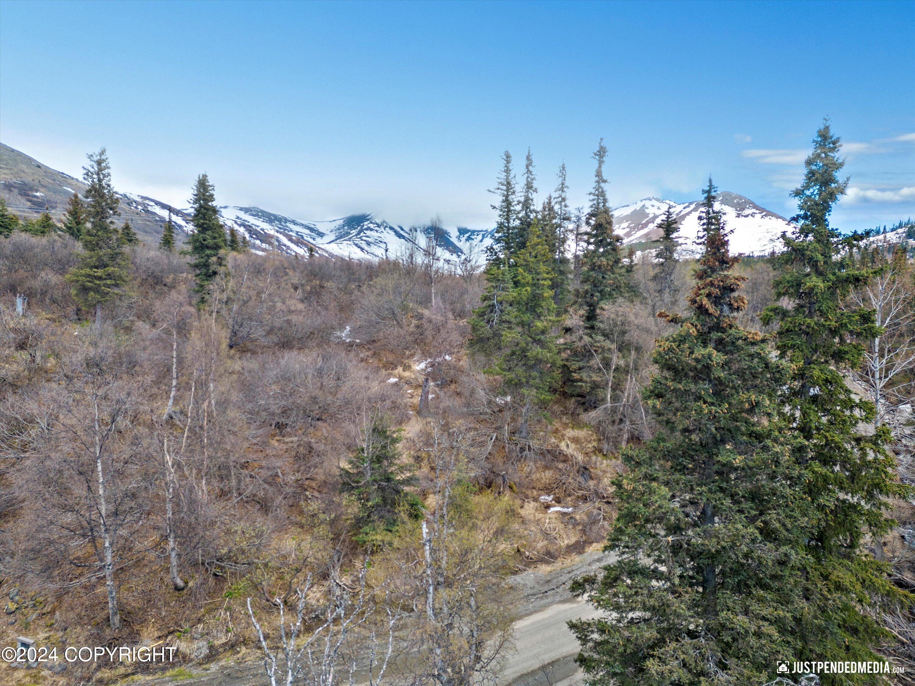 B2 L34 Finland Street, Anchorage, Alaska image 37
