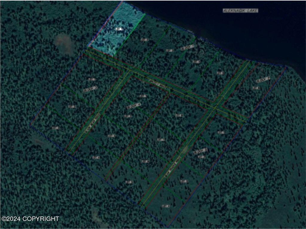 L1B1 Grizzly Road, Aleknagik, Alaska image 12