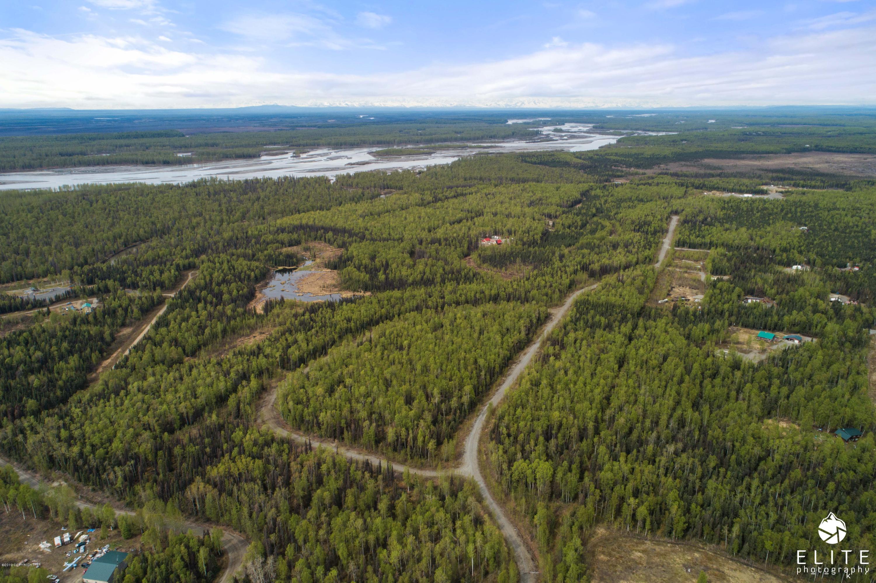 L12 B1 Denali View Estates, Willow, Alaska image 2
