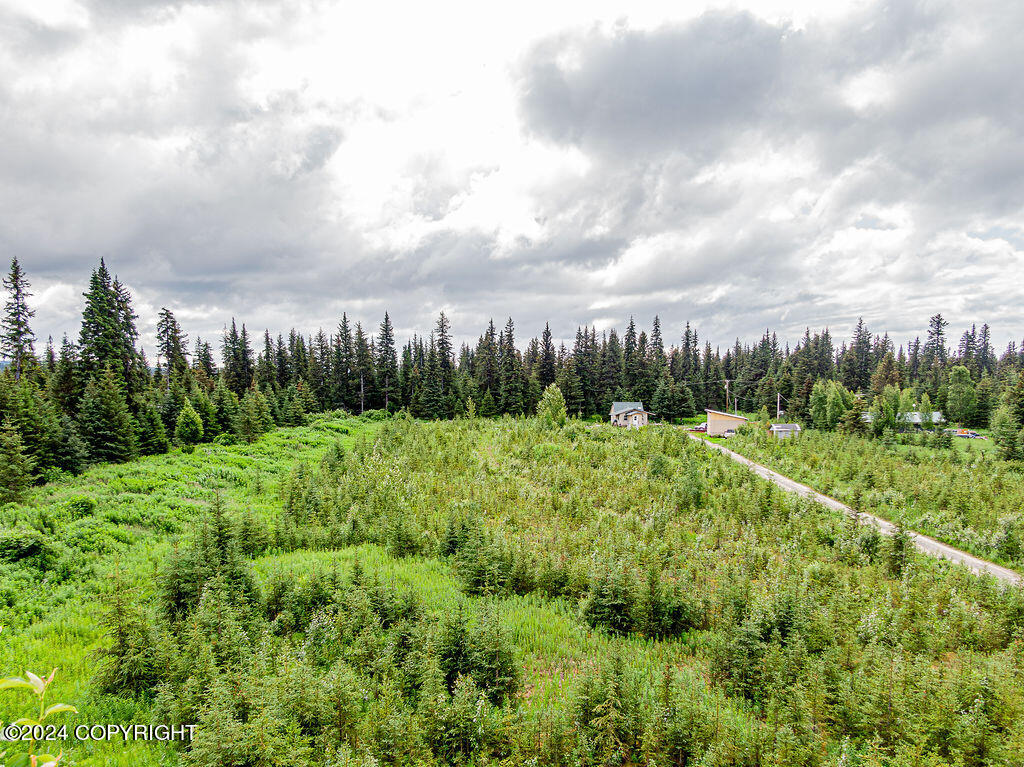69339 N Alut Avenue, Anchor Point, Alaska image 21