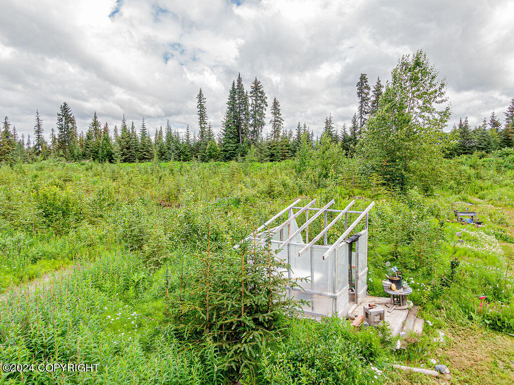 69339 N Alut Avenue, Anchor Point, Alaska image 13