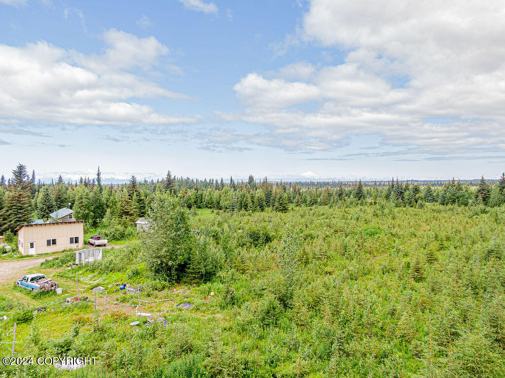 69339 N Alut Avenue, Anchor Point, Alaska image 20