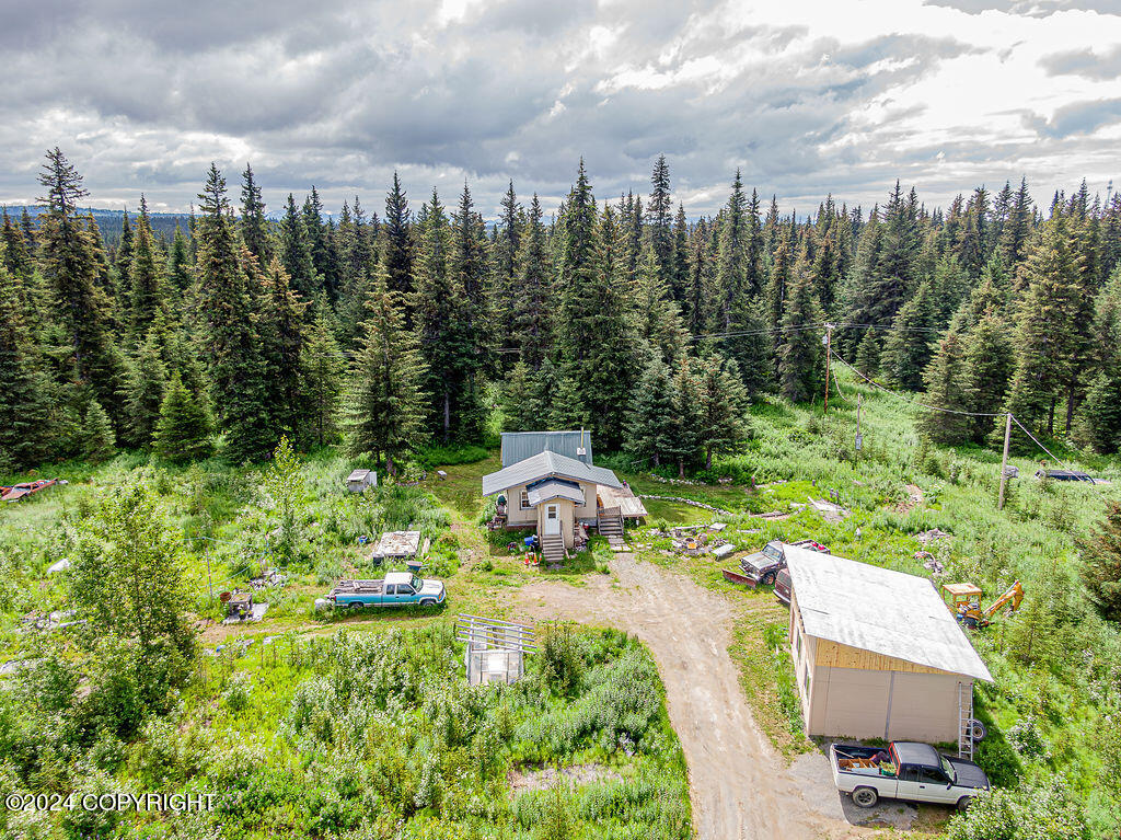 69339 N Alut Avenue, Anchor Point, Alaska image 3