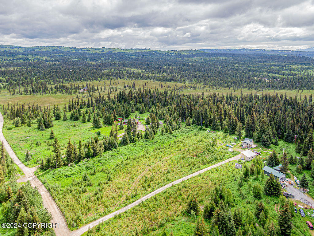 69339 N Alut Avenue, Anchor Point, Alaska image 9