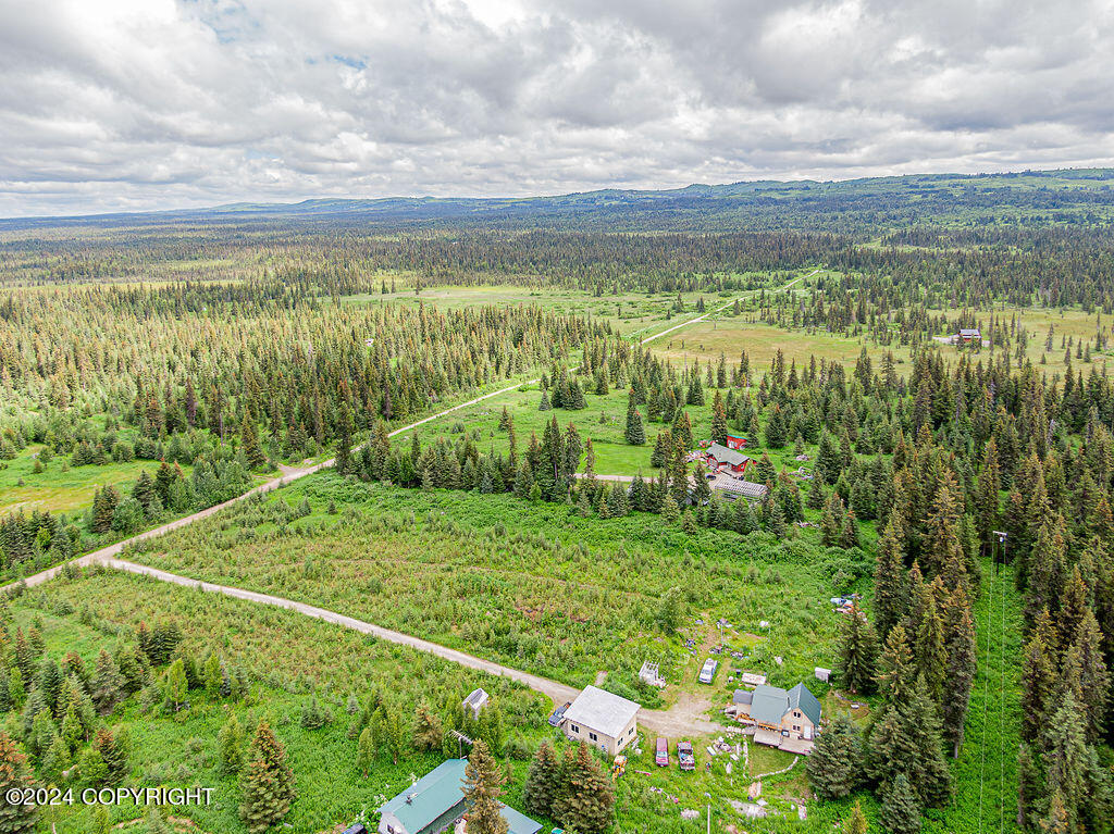 69339 N Alut Avenue, Anchor Point, Alaska image 8