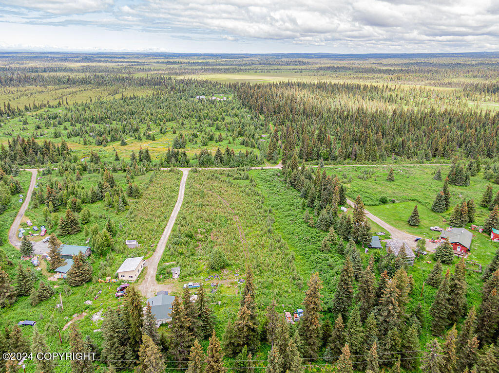 69339 N Alut Avenue, Anchor Point, Alaska image 7