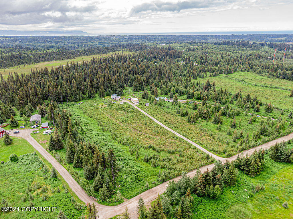 69339 N Alut Avenue, Anchor Point, Alaska image 1