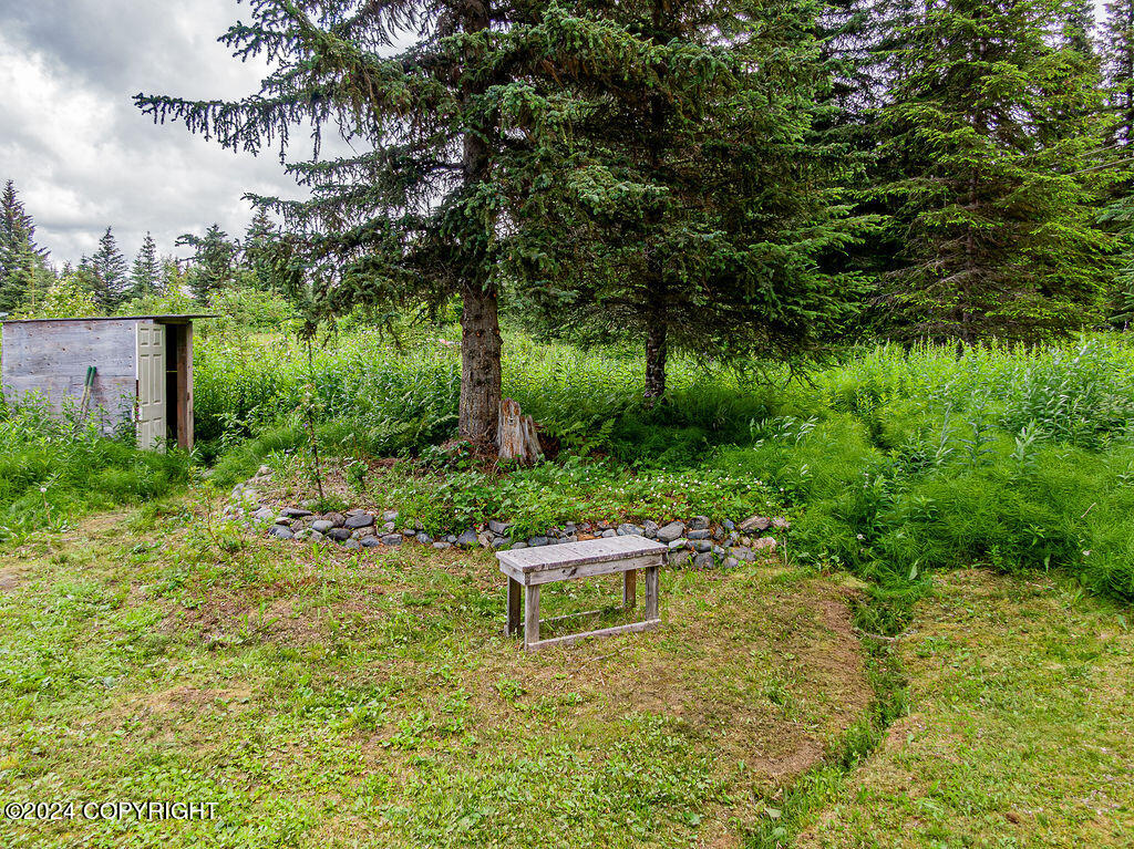 69339 N Alut Avenue, Anchor Point, Alaska image 18