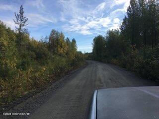 L117 S Cache Creek Drive, Trapper Creek, Alaska image 15