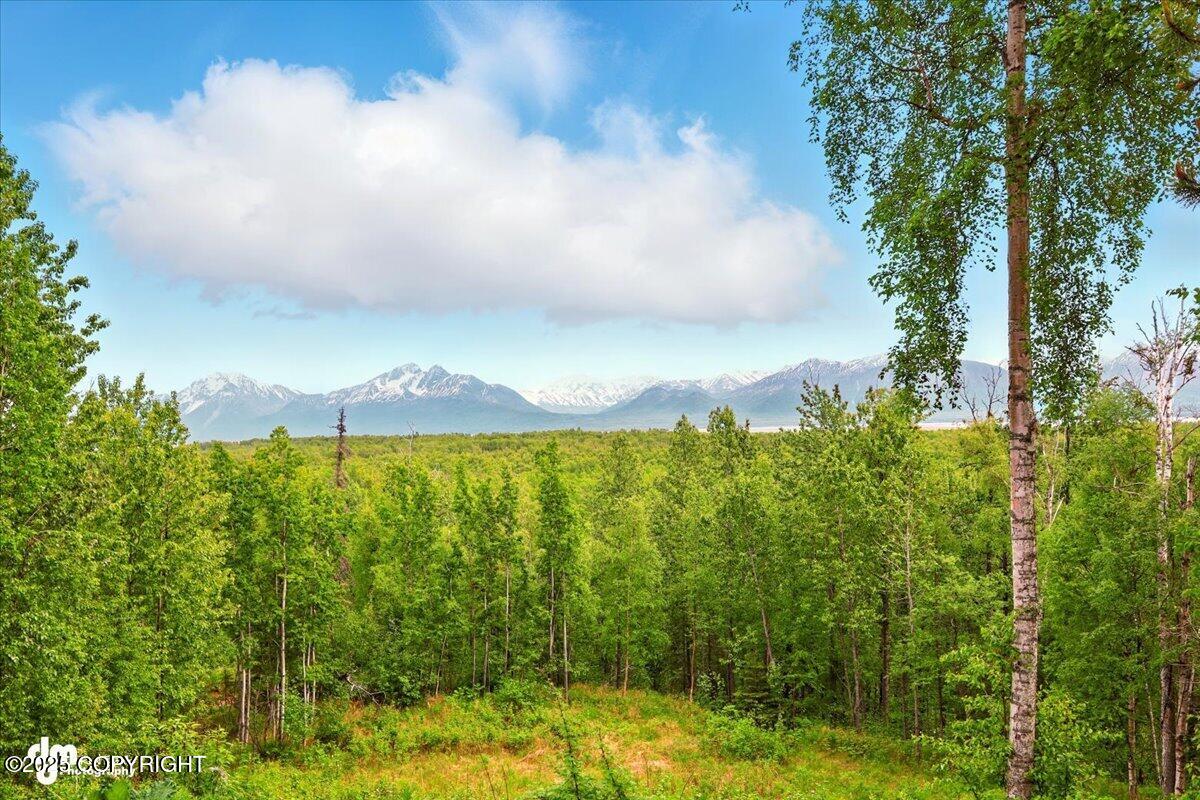 4821 S Outrigger Drive, Wasilla, Alaska image 4