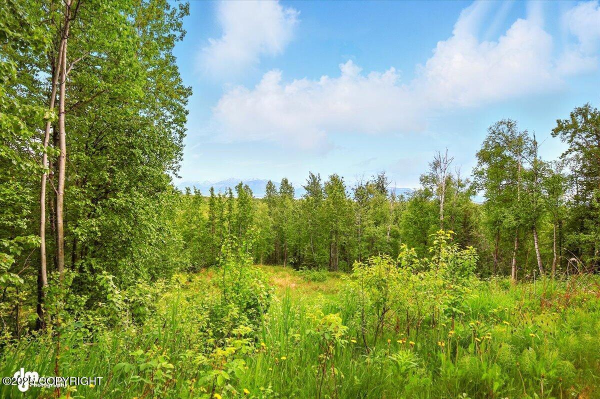 4821 S Outrigger Drive, Wasilla, Alaska image 16