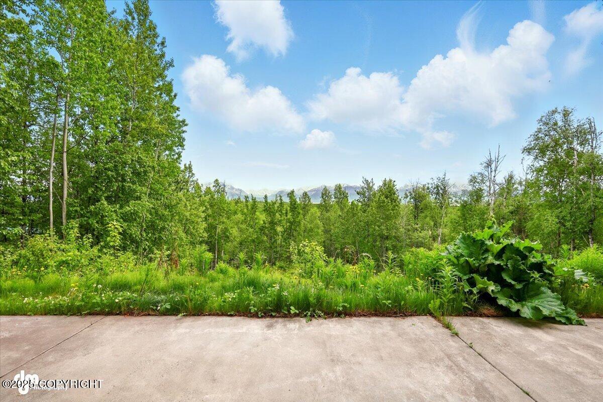 4821 S Outrigger Drive, Wasilla, Alaska image 13