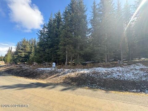 Photo of 1185 Quinalt Avenue, Homer, AK 99603 (MLS # 26-5944)