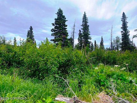Vacant Land For Sale - LOT 13A Alta Court<br/> Anchorage, AK 99516