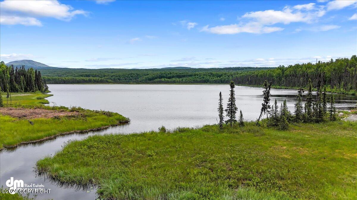 Unit 108 Baldy Lake Airpark, Talkeetna, Alaska image 18