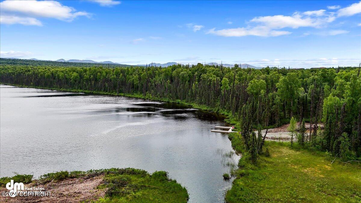 Unit 108 Baldy Lake Airpark, Talkeetna, Alaska image 16