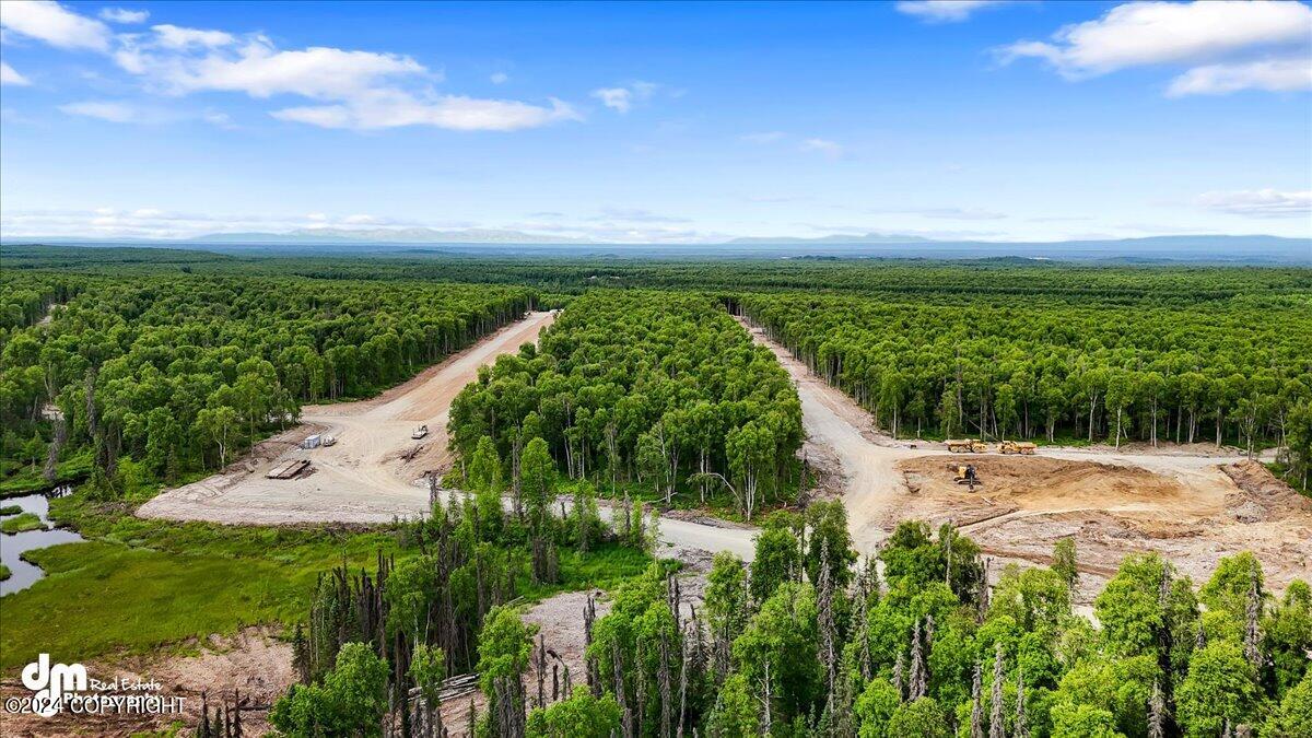 Unit 108 Baldy Lake Airpark, Talkeetna, Alaska image 13