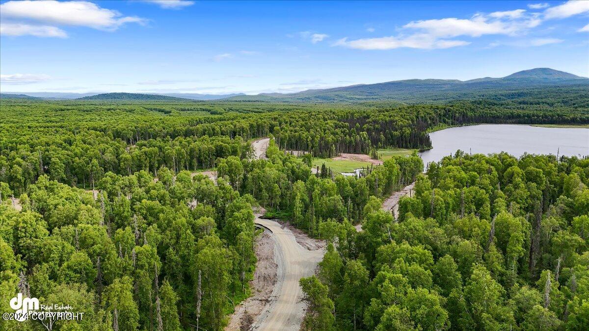 Unit 108 Baldy Lake Airpark, Talkeetna, Alaska image 10