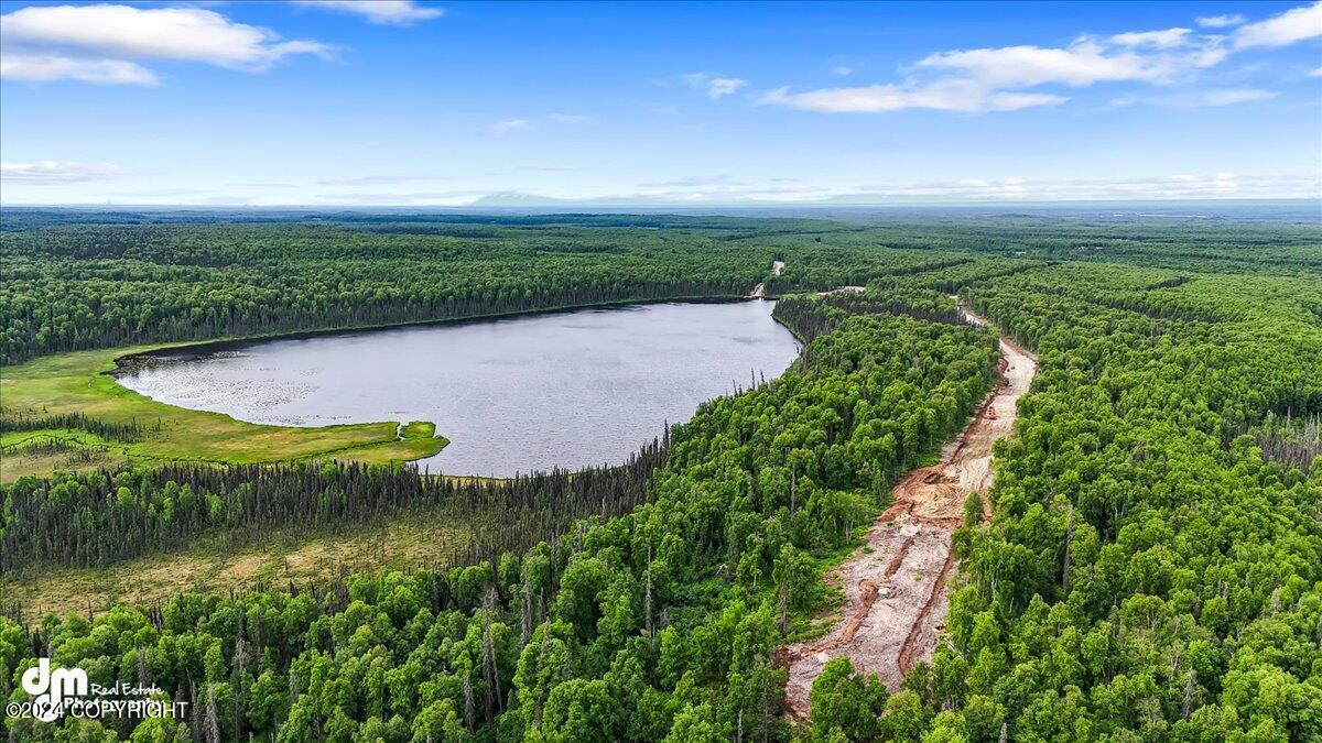 Unit 108 Baldy Lake Airpark, Talkeetna, Alaska image 2