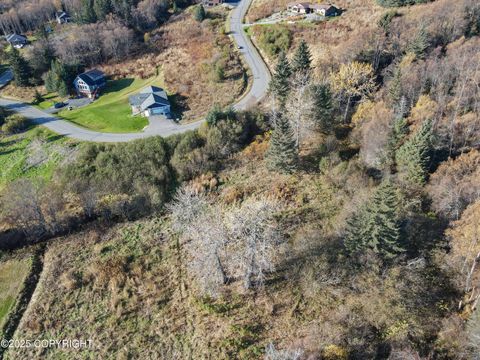 Photo of 4570 Craftsman Road, Homer, AK 99603 (MLS # 25-13486) Photo of 4570 Craftsman Road, Homer, AK 99603 (MLS # 25-13486)
