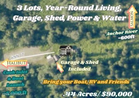 Vacant Land For Sale - 73481 Ann Court<br/> Anchor Point, AK 99556