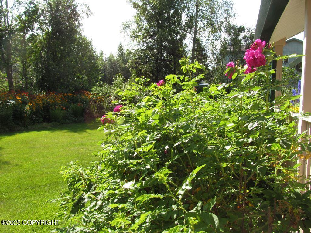 1040 N Craig Stadler Loop, Wasilla, Alaska image 45