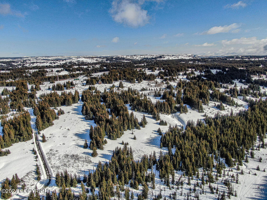 Homer, Alaska 99603, United States, ,Land,Active,60969