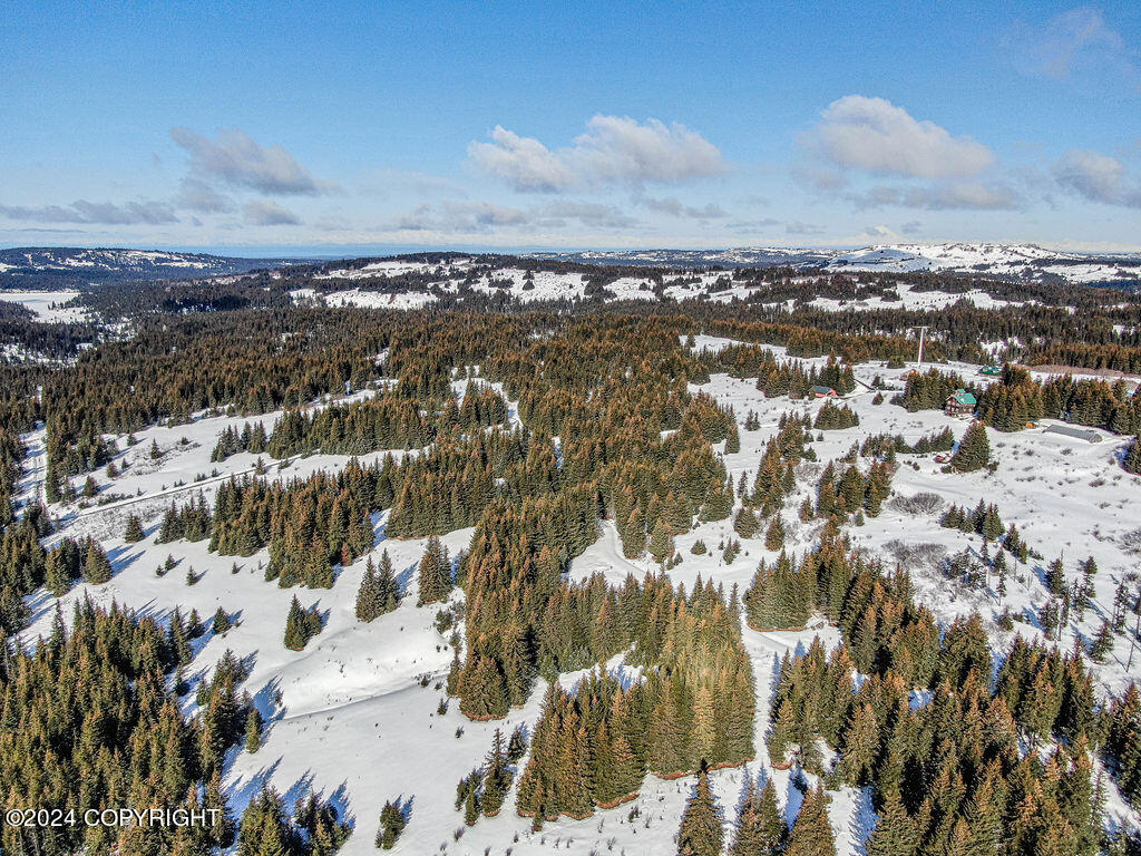 Homer, Alaska 99603, United States, ,Land,Active,60969