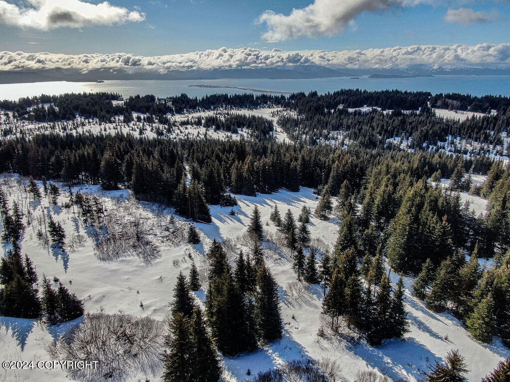 Homer, Alaska 99603, United States, ,Land,Active,60969 Homer, Alaska 99603, United States, ,Land,Active,60969