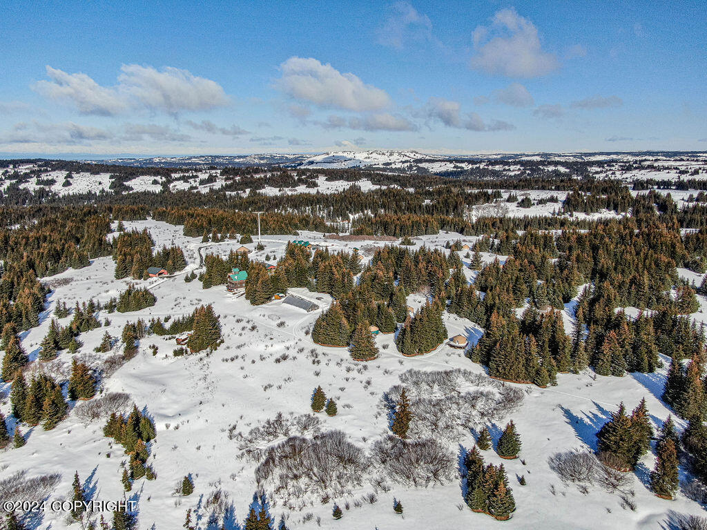 Homer, Alaska 99603, United States, ,Land,Active,60969