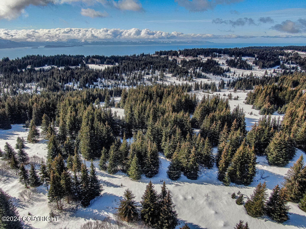 Homer, Alaska 99603, United States, ,Land,Active,60969