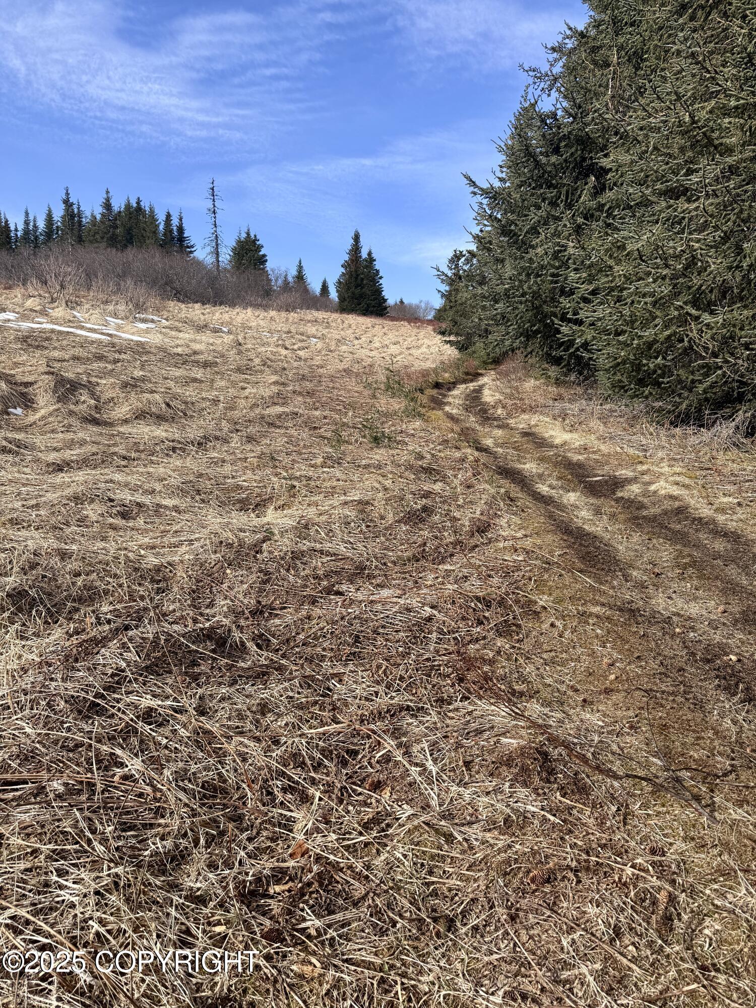 65655 Ring Of Fire Avenue, Anchor Point, Alaska image 13