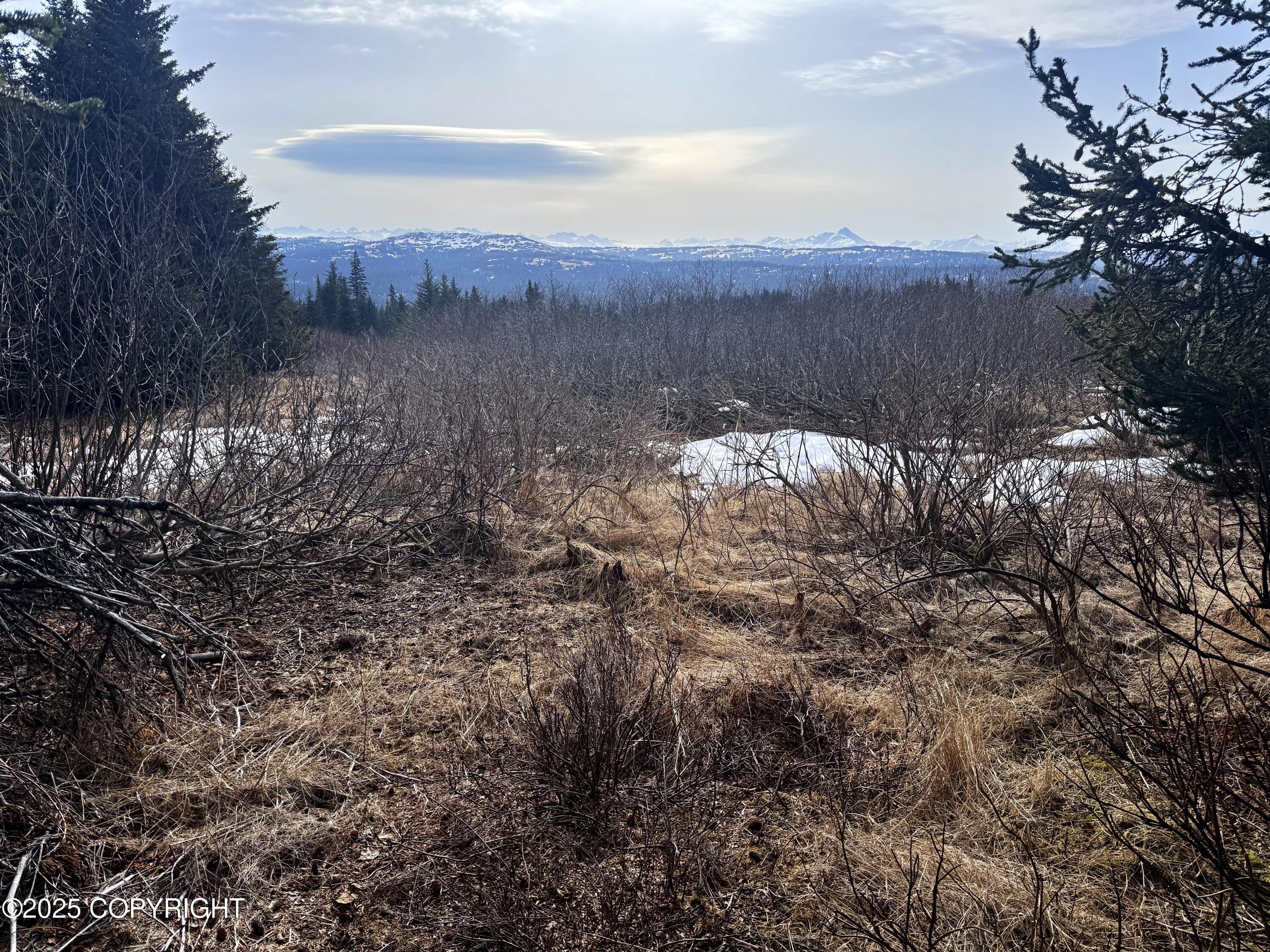 65655 Ring Of Fire Avenue, Anchor Point, Alaska image 17