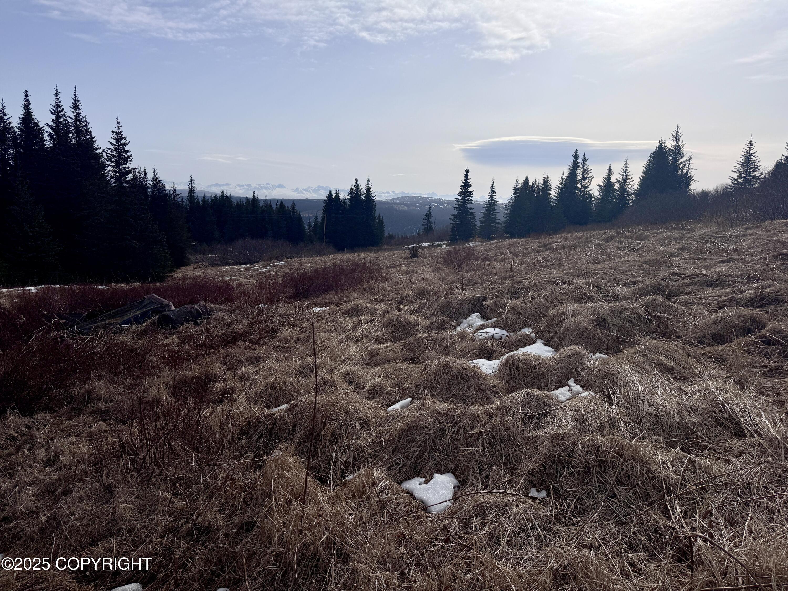 65655 Ring Of Fire Avenue, Anchor Point, Alaska image 14