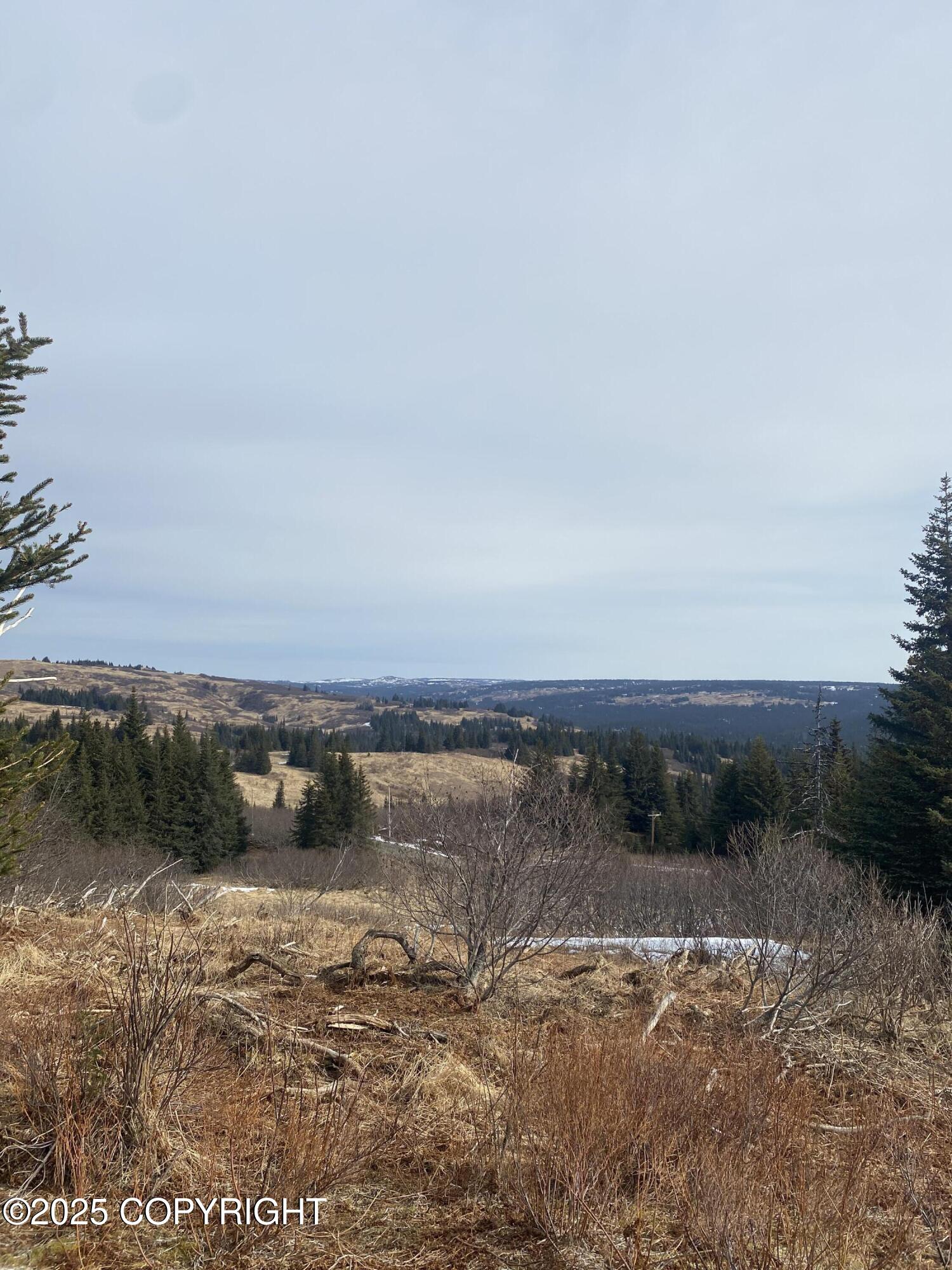 65655 Ring Of Fire Avenue, Anchor Point, Alaska image 11